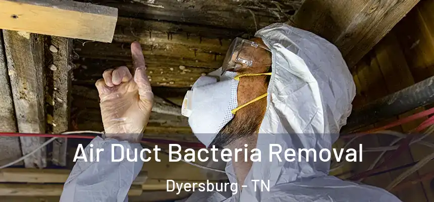  Air Duct Bacteria Removal Dyersburg - TN