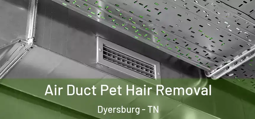  Air Duct Pet Hair Removal Dyersburg - TN