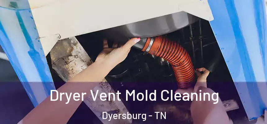 Dryer Vent Mold Cleaning Dyersburg - TN