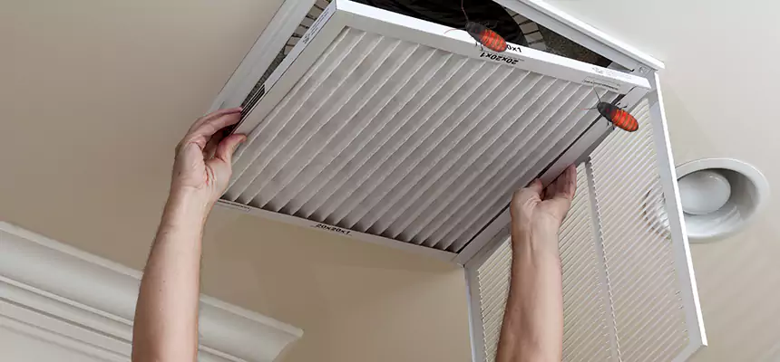 Preventive Cockroach-Proofing for Ducts in Dyersburg