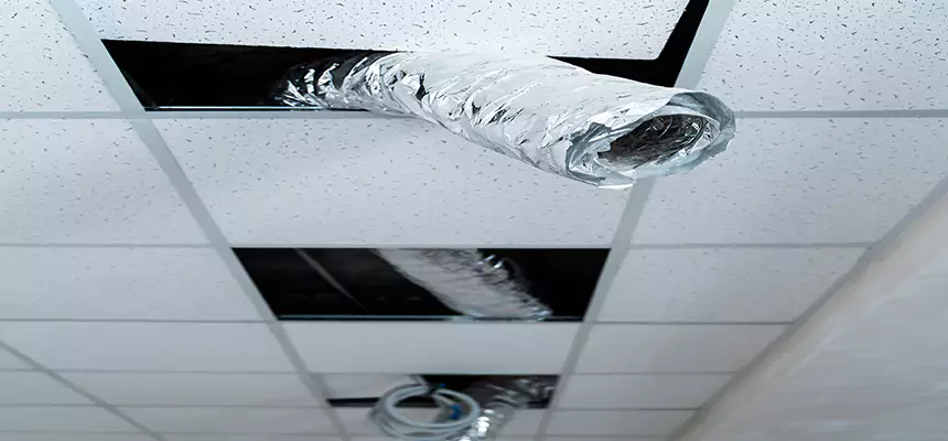 Our Air Duct Pet Hair Removal Services in Dyersburg, TN