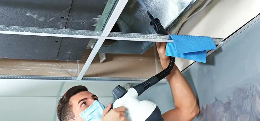 Our Air Duct Rodent Removal Services in Dyersburg, TN