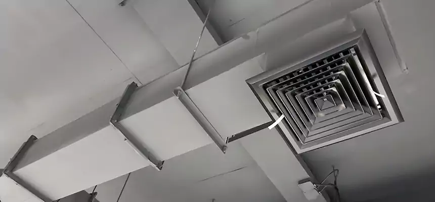 Our Rodent Droppings In Vents Services in Dyersburg, TN