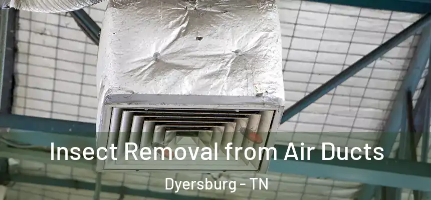  Insect Removal from Air Ducts Dyersburg - TN