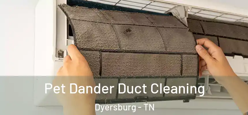  Pet Dander Duct Cleaning Dyersburg - TN