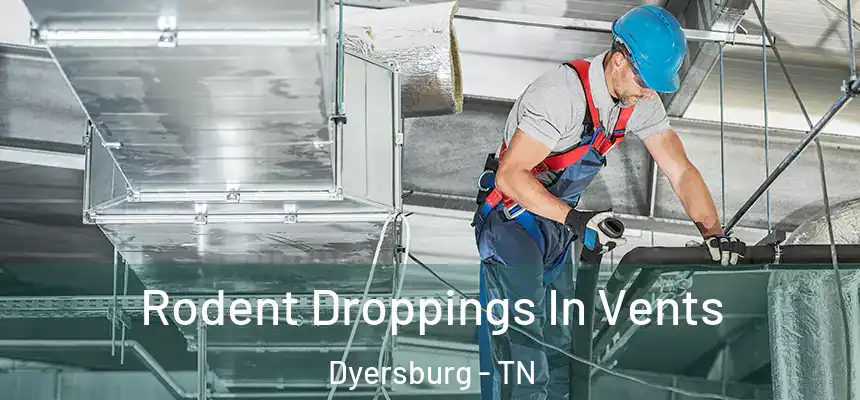  Rodent Droppings In Vents Dyersburg - TN