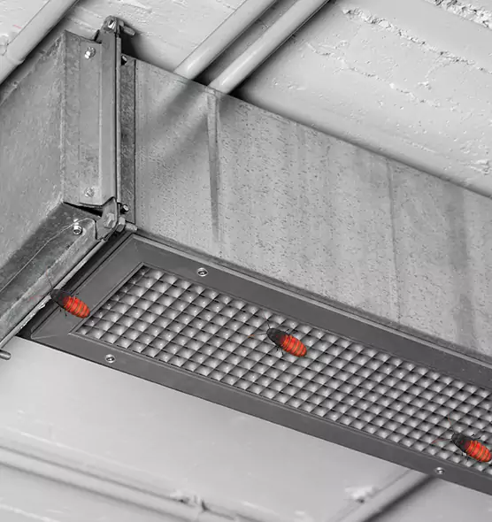 About Air Duct Cockroach Removal in Dyersburg, TN
