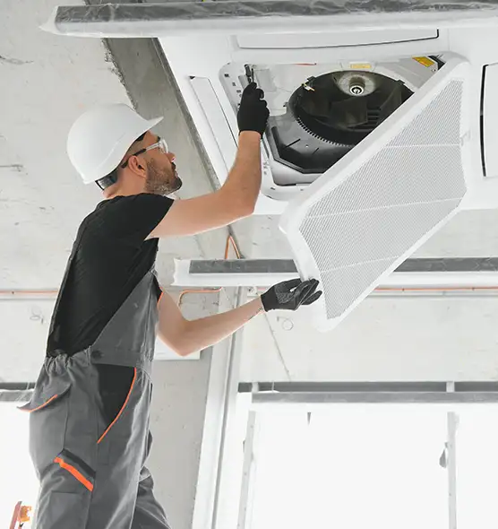 About Air Duct Rodent Removal in Dyersburg, TN