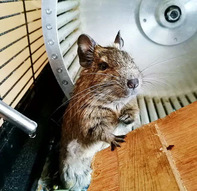 Why Homeowners & Businesses Trust Us Dyersburg, TN