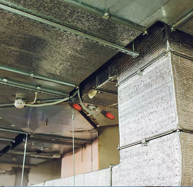 Why Homeowners & Businesses Trust Us Dyersburg, TN?